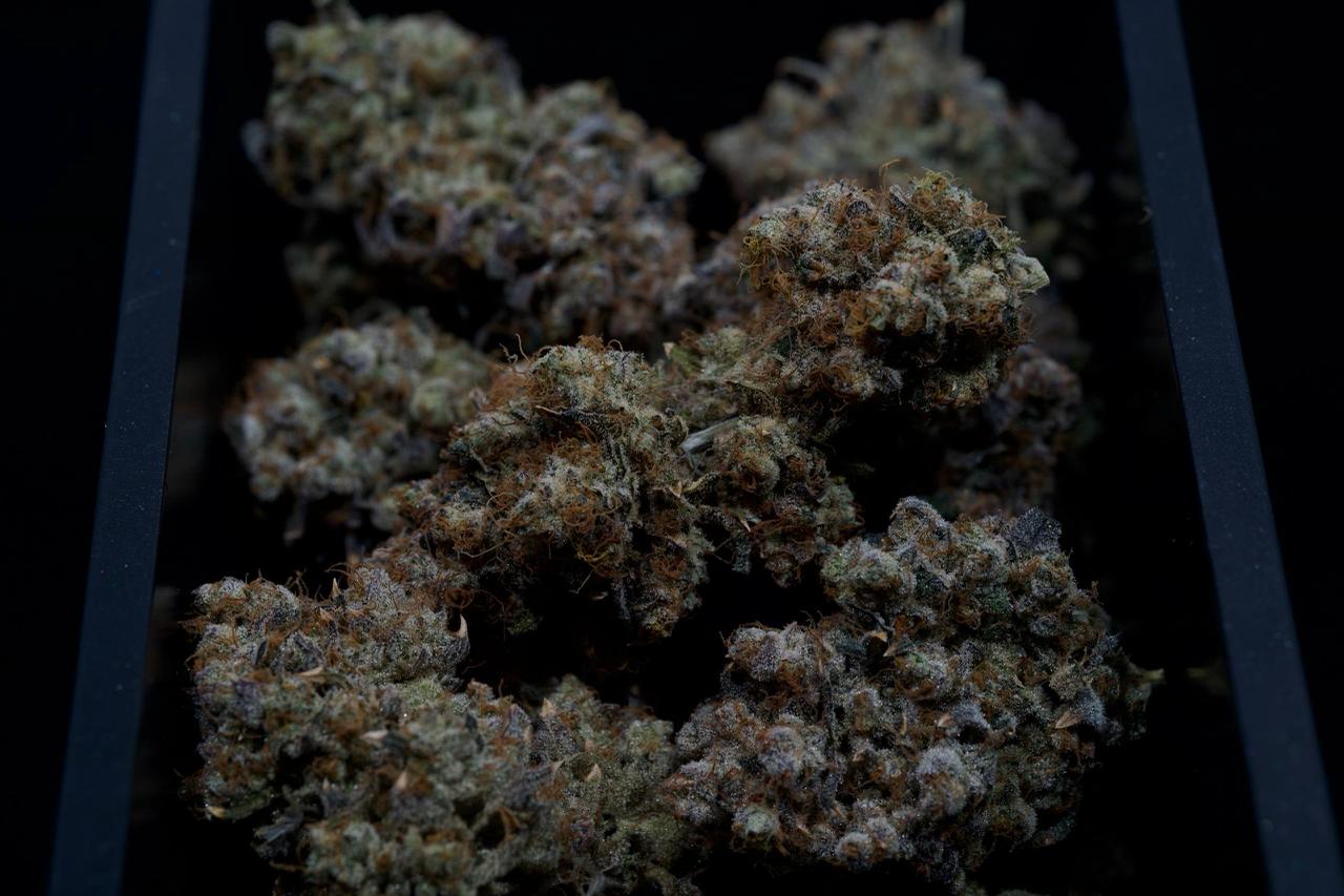 【多地区】White Rhino Medicine Man